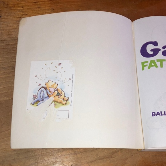 Garfield Fat Cat 3-Pack Book Volume 1 by Jim Davis - softcover - Picture 4 of 16